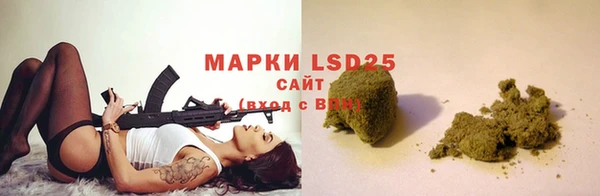 PSILOCYBIN Баксан