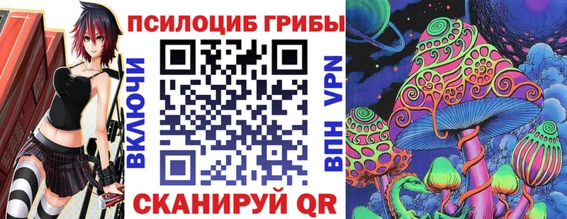 Галлюциногенные грибы Psilocybine cubensis  блэк спрут как зайти  Обоянь 